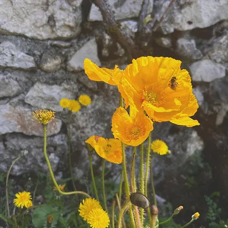 La Demeure Des Poetes D'hotes 3*