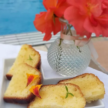 La Demeure Des Poetes D'hotes Mouzieys-Panens