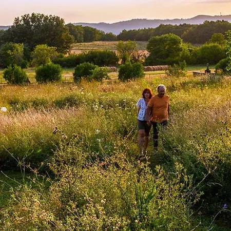 La Demeure Des Poetes D'hotes Mouzieys-Panens