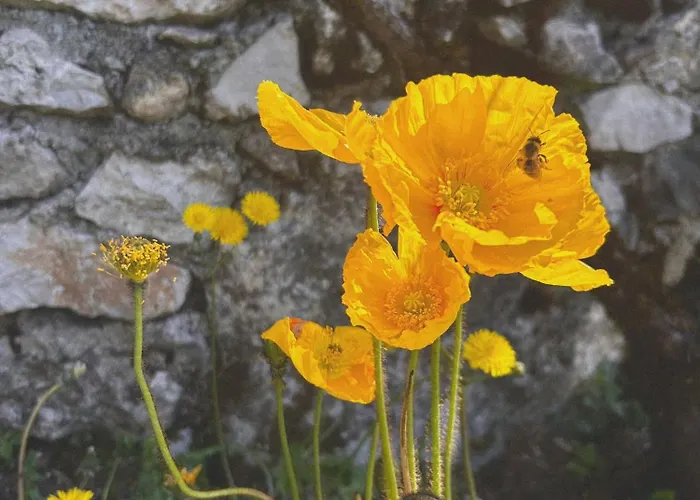La Demeure Des Poètes D'hôtes 3*